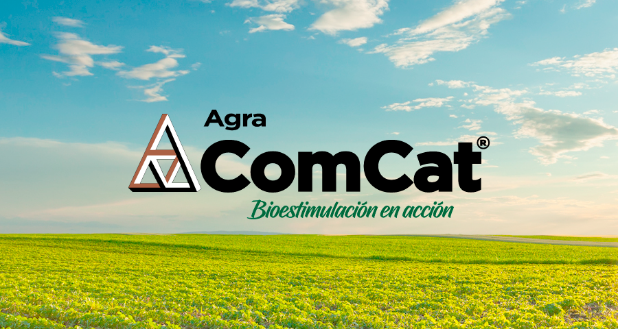 Efecto del Comcat y el Alga600 en la floración del cultivo de tomate (Solanum lycopersicum) en la localidad de Carrizal de Alajuela.