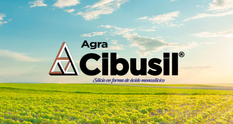 agra cibusil